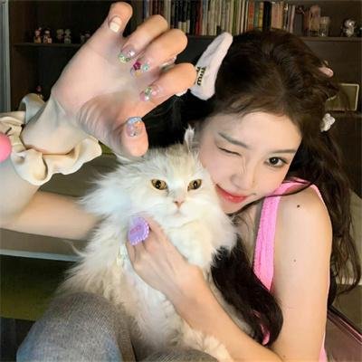 神圣之夜:恶魔猎人